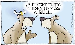 Bull market101